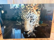 Obraz szklany lampard