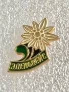Kwiat szarotka alpejska. Zobacz wszystkie moje ogłoszenia