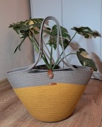 Torebka kosz miejski