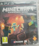 Minecraft PlayStation 3 edition. 