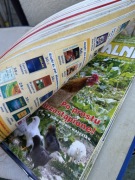 Optymalni dieta Kwaśniewskiego miesięcznik