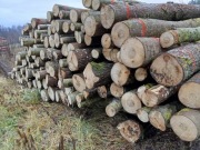 Drewno opałowe Liściaste/Iglaste w dobrej cenie 