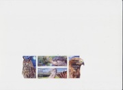 Ptaki - Hiszpania czysta seria