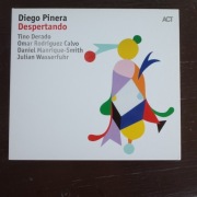 DIEGO PINERA DESPERTANDO