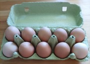 Jajka od kur  z chowu własnego.