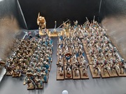 Warhammer The Old World Armia Tomb Kings Tomb King Army Pomalowana