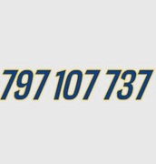 797 107 737 ORANGE STARTER ZŁOTY ŁATWY PROSTY NUMER KARTA PREPAID GSM SIM