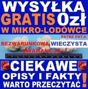 GRZYBEK TYBETAŃSKI 30 g INSTRUKCJA 6xA4 -wiejskie mleko