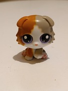 Littlest Pet Shop LPS  