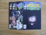Sam Kieth, Wolverine Hulk 1-4