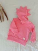 Bluza z kapturem Dino rozmiar 104 cm