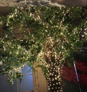 Lampki LED na energię słoneczną. 22 m.