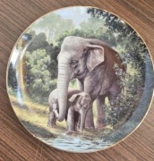 BRADEX Talerz ozdobny w pudełku seria zwierzęta