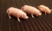 figurki prosiąt świnek