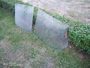 Szyba dzielona przednia Nysa 522 i boczna