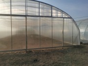 Tunel foliowy, tunel ogrodniczy, producent ,folia 