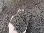 Ziemia ogrodowa przesiewana z dowozem