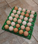 Jaja Wiejskie 30szt Wolny Wybieg