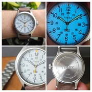 Zegarek Timex TW2R46700 Expedition Allied