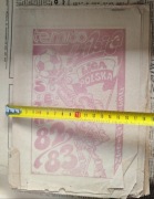 Skarb kibica ekstraklasa historia 1982 1983 liga Polska Widzew