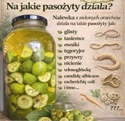  ZIELONY ORZECH WYCIĄG, ORZECHÓWKA Z ZIELONEGO ORZECHA 0,5 L BEZ CUKRU 