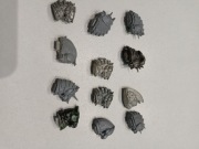 Warhammer Fantasy Battle Końskie głowy