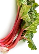 Rabarbar Malinowy Piękne Sadzonki (3 - Letnie)