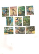 Ptaki,Umm Al Qiwain,znaczki trójwymiarowe,michel:1589/98, czyste