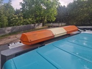 Belka ostrzegawcza (koguty)