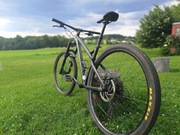 Dartmoor primal 29 mtb