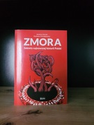 Zmora. Sekrety najnowszej historii Polski- Stanisław Michalkiewicz