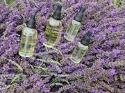 Olejek lawendowy do aromaterapii, olejek eteryczny lawenda Grosso  100ml