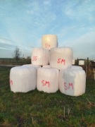 Baloty sianokiszonki 