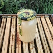 Miód nierozgrzewany wielokwiatowy - 1,2 kg ( wiosna 2025) 