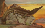 Dinozaury - Prehistoria   reprint XIX w. grafik