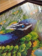 Obraz haft diamentowy paw obramowany 30x40cm