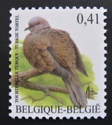 Fauna ptaki 3185 ** 2002 rok  