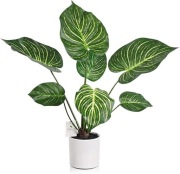 Leflos – Sztuczna Monstera „Zebra Leaf” 68 cm | Tropikalna
