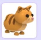 Ginger Cat|Najtaniej, Szybko, Sprawdzony Sprzedawca!|Adopt Me Roblox