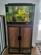 Akwarium 72l z szafką, kompletne urządzone rybki, roślinki, dekoracje