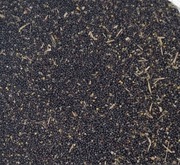 Rzepak dla gołębi kur ptaków