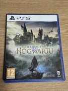 Dziedzictwo Hogwartu gra PS5