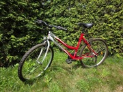 ROWER - taki jak na zdjęciu