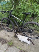 Merida Big Nine Limited 