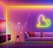 Zestaw 10 m Taśma RGB -IC Neon Rope Lights