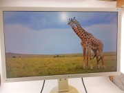 Monitor LED EIZO EV2736W 27 " 2560 x 1440 px IPS / PLS