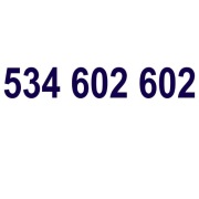 Złoty Numer 534 602 602