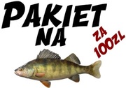 Pakiet przynęt na okonia za 100zł