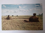 MAZOWSZE krajolik mazowiecki żniwa 