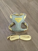 Nowe szelki bezuciskowe guard + smycz dla psa kota